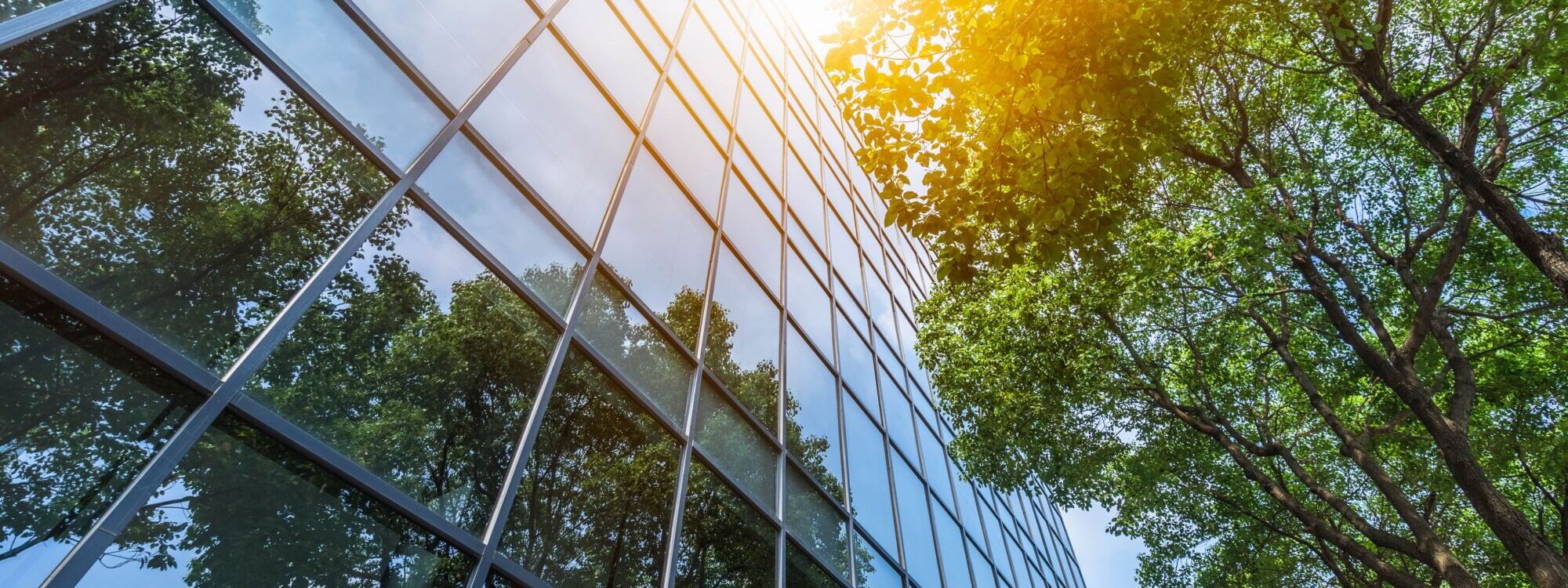 Cr&eacute;ation de valeur durable : L’immobilier d’entreprise au service du social et de l’environnement Soultz-Haut-Rhin
