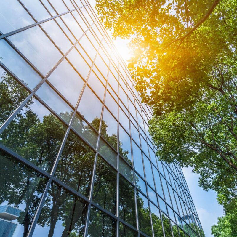 Cr&eacute;ation de valeur durable : L’immobilier d’entreprise au service du social et de l’environnement Soultz-Haut-Rhin