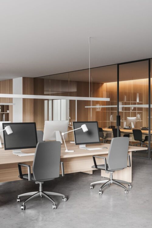 LOCATION BUREAUX ENTREPRISE 500X750 | Atypik Immobilier Vente et location de bureaux et locaux professionnels à Mulhouse et Colmar Wintzenheim 3