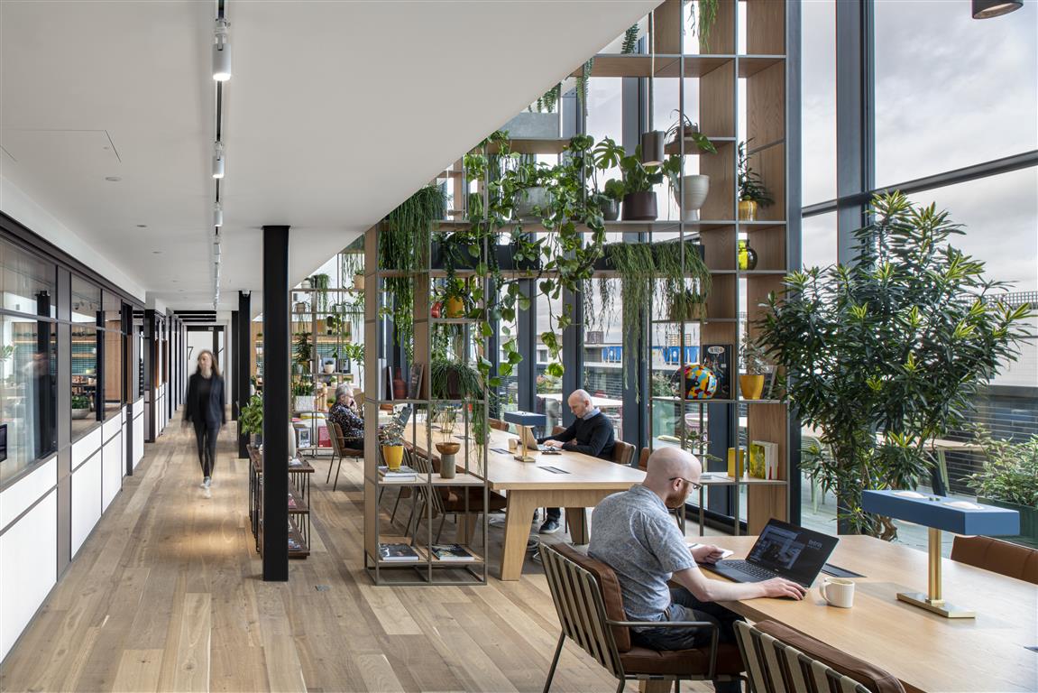 GREEN WORKPLACE DESIGN CREATES FEEL GOOD FACTOR_1 | Atypik Immobilier Design & durabilité : Comment intégrer des solutions écoresponsables dans vos bureaux ! Rixheim 0