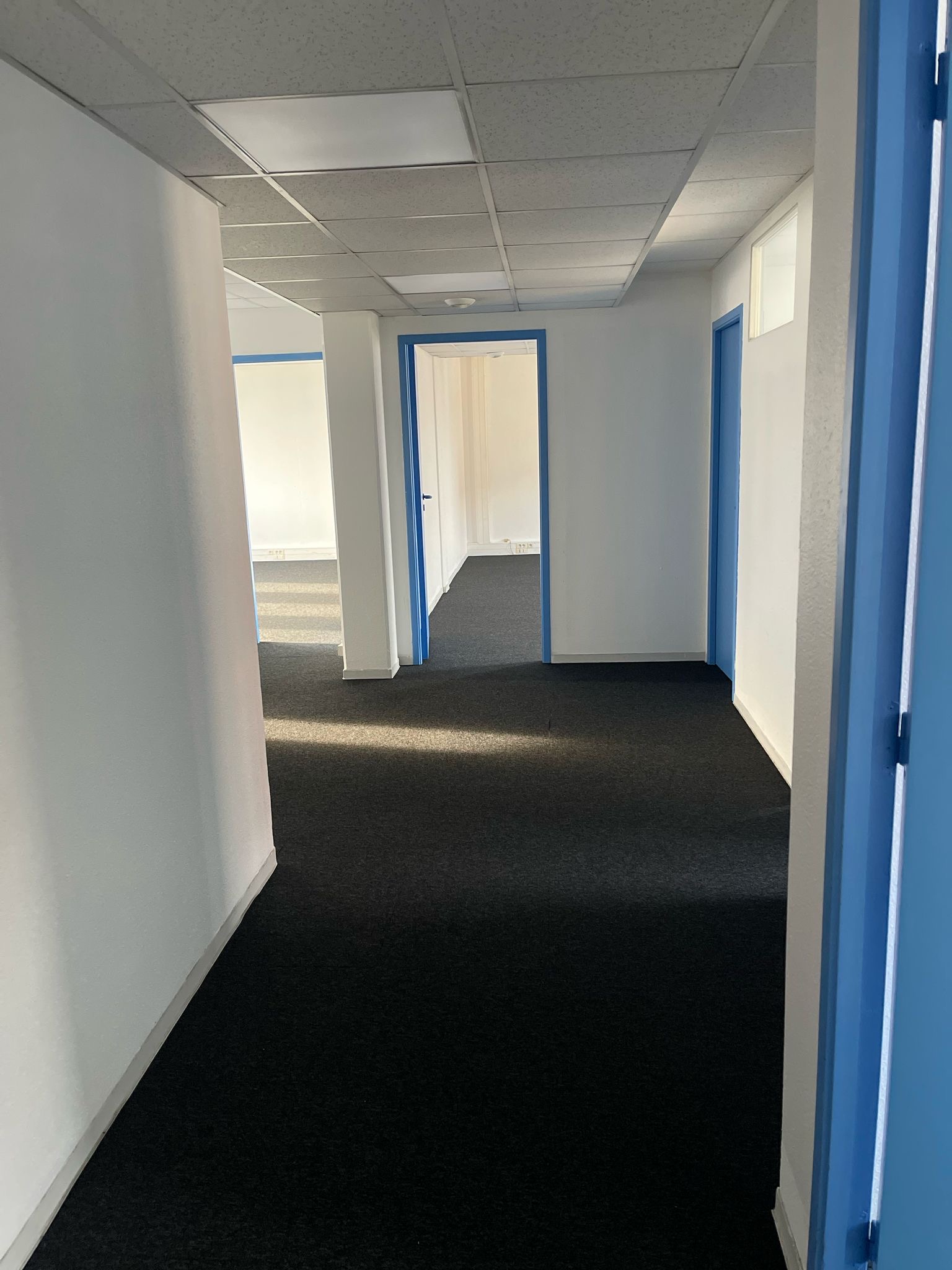 272E279F 54C6 4F26 ACA5 2F21CABEC2A7 100X100 | Atypik Immobilier Bureaux Mulhouse Colmar 0