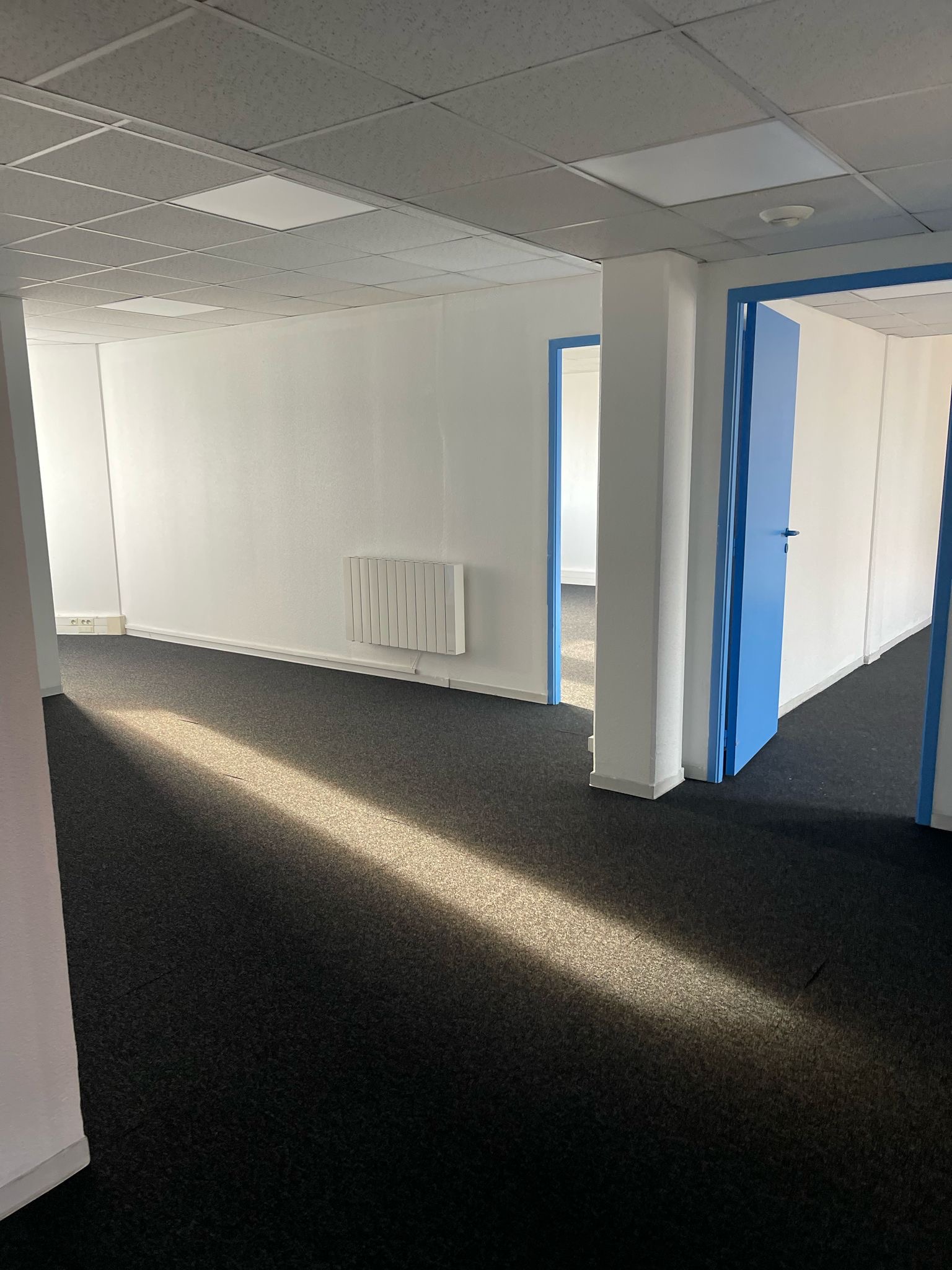 8311F0EF 6023 4E97 A11C F2F3E8924914 100X100 | Atypik Immobilier Bureaux Mulhouse Colmar 0